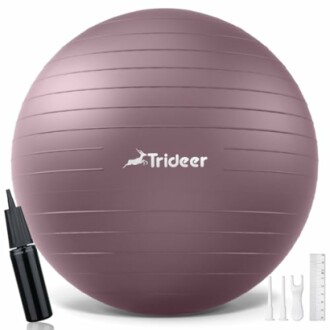 Purple exercise ball with pump and accessories.